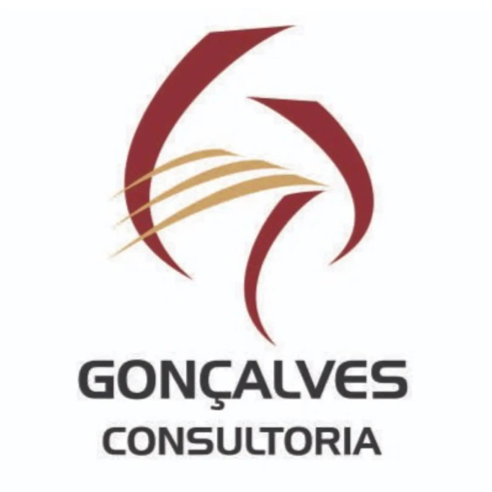 Goncalves Consultoria Logo Depoimento - New Link